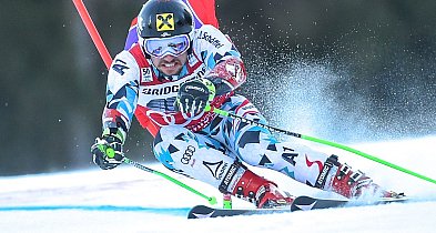 Shiffrin i inne gwiazdy idą na wojnę z FIS. Padły mocne słowa-135478