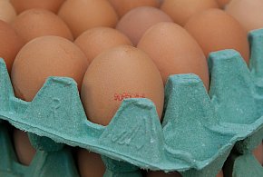 Salmonella na jajach znanej marki. Nie jedz, jeśli masz je w lodówce!-137779