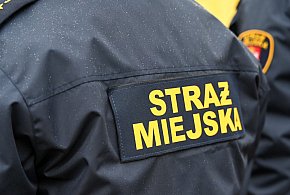 Zapuka strażnik, zapłacisz karę. Ruszyły kontrole w całej Polsce-138630