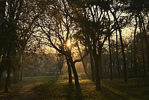 Nadchodzi najkrótszy dzień w 2025 roku. Sprawdź, kiedy przypadnie-139486