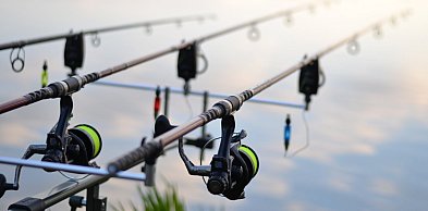 Kulki proteinowe i waftersy jako trzon karpiowego zestawu