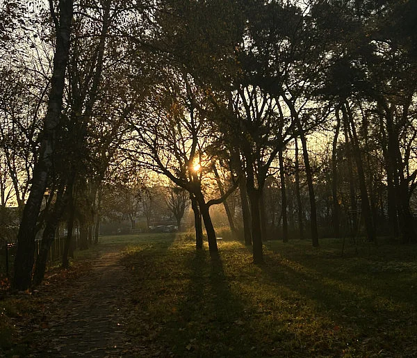 Nadchodzi najkrótszy dzień w 2025 roku. Sprawdź, kiedy przypadnie-139486